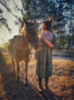 Вечерним солнцем