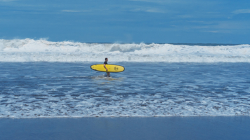 В поисках волны