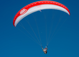 Соревнования белых на красных