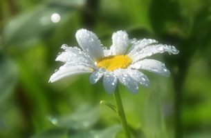 Бриллиантовые