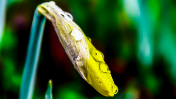 Третьего апреля