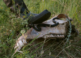 И принял он смерть от коня своего.