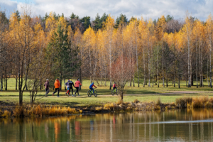 Все бегут, все едут