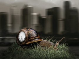 Не суетись...