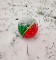Мячик на снегу