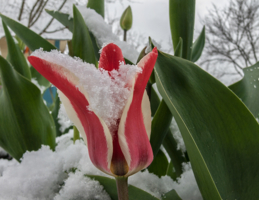 Вчера была весна