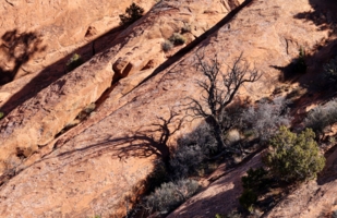 Тени на скалах