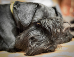 Мне этот мир абсолютно понятен...