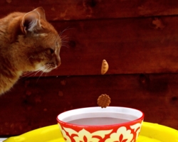 За мгновенье до