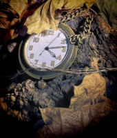 Прошедшее время 1.