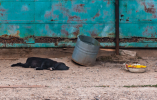 раздумья о жизни