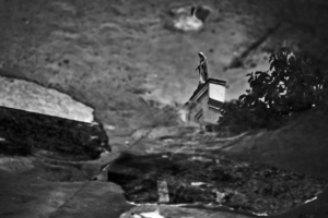 Последняя надежда