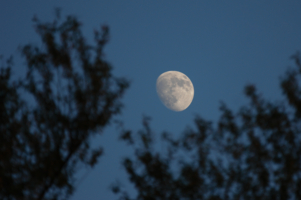 Меланхолия луны