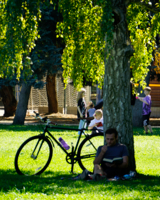 Летний день