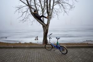 Без названия