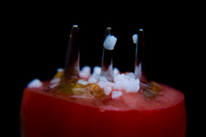 Мировой закусон!