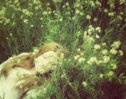 Цветами поля ей стелились под ноги,