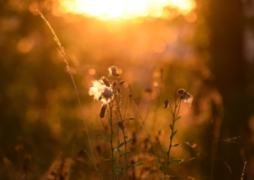Апокалипсис надвигается