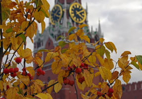 Осеннее время