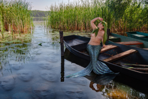 В тихой заводи....