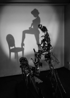 Обманчивая тень