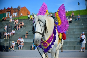 Пегас на день города