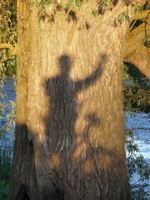 Здравствуй, Великая Ива!