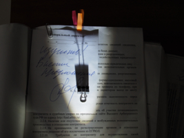 Не натюрмортный натюрморт