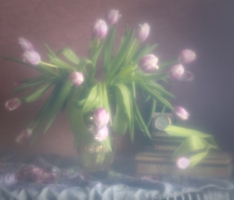 Эфемерность