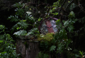 Потерянное время