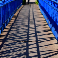 Тень на плетень