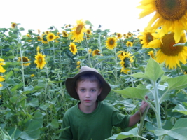 Мой мальчик