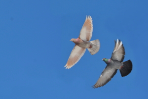 Это было весной...