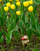 «Псих», — подумал Ёжик,