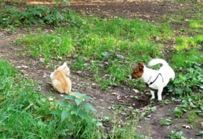 Случайная встреча