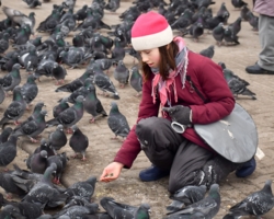 Гули-гули-гули