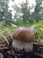 маленький, но беленький