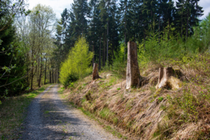 и мёртвые с косами стоят