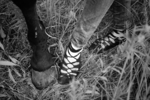 ghillies в поле