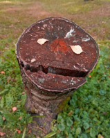 Улыбайтесь!!! Вас снимают!!!