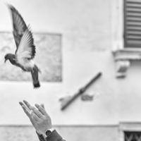 продолжение руки