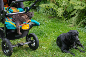 Охраняя сон младенца