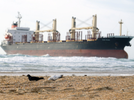 Пляжная история