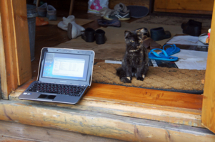 Когда работа на удалёнке