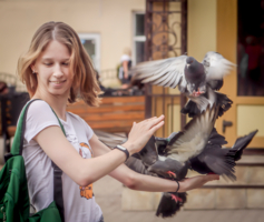 Акробатическое кормление