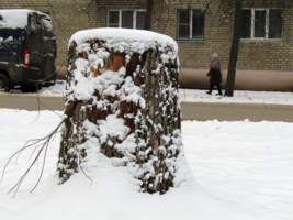 Однорукий бандит