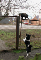 Не достанешь...