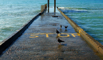 Законопослушные и нарушители