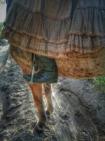 Конные сапожки