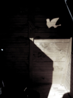 симптомы разумного воспроизведения